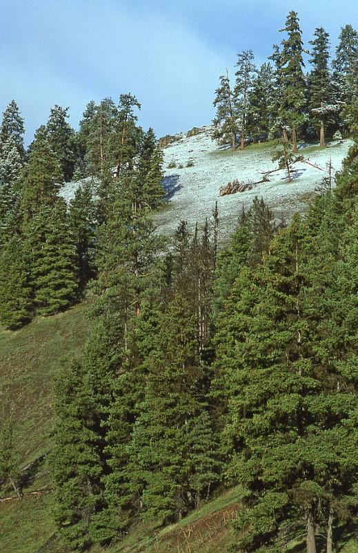 1996-04 Utah Trip 01 E Oregon.jpg